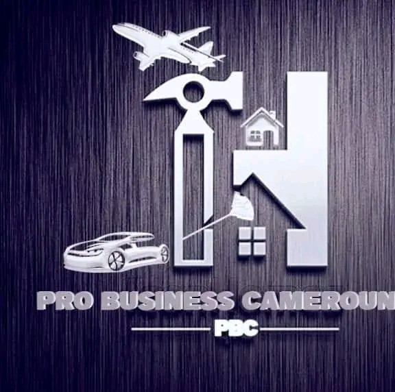 PRO BUSINESS CAMEROUN SARL