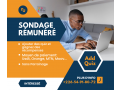 sondage-remunere-small-0