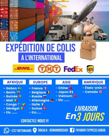 expedition-de-colis-du-cameroun-vers-l-afrique-l-europe-et-l-amerique-big-0