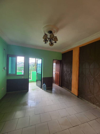 studio-moderne-a-kotto-badem-badem-big-2