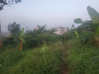 Lots de terrains titrés et lotis à Odza Messamendongo