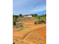 terrain-en-vente-a-yaounde-odza-complex-beac-small-4