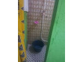 deux-studios-modernes-a-bepanda-small-4