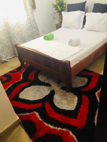 appartement-meuble-propre-a-nkolnda-big-5