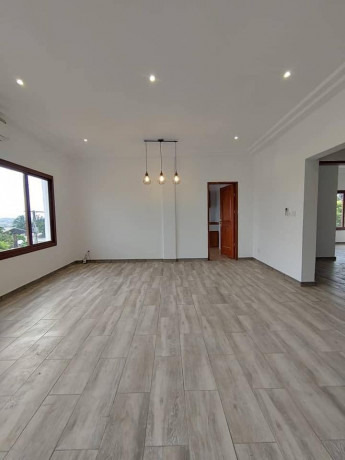 appartements-hauts-standing-a-louer-a-bonapriso-big-4