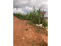 a-vendre-terrain-commercial-titre-et-loti-a-ngousso-small-7