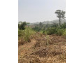 a-vendre-terrain-titre-et-loti-de-a-nkoabang-nlobissong-small-2