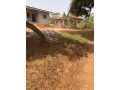 a-vendre-terrain-titre-et-loti-de-a-nkoabang-nlobissong-small-1