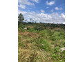 magnifique-terrain-titre-a-vendre-a-yaounde-mbamkomo-small-4