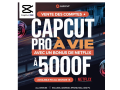 capcut-pro-netflix-gratuit-small-2