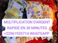 la-multiplication-dargent-rapide-en-30minutes-22961920714-whatsapp-small-0