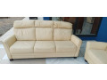 salon-en-cuir-az45-small-1